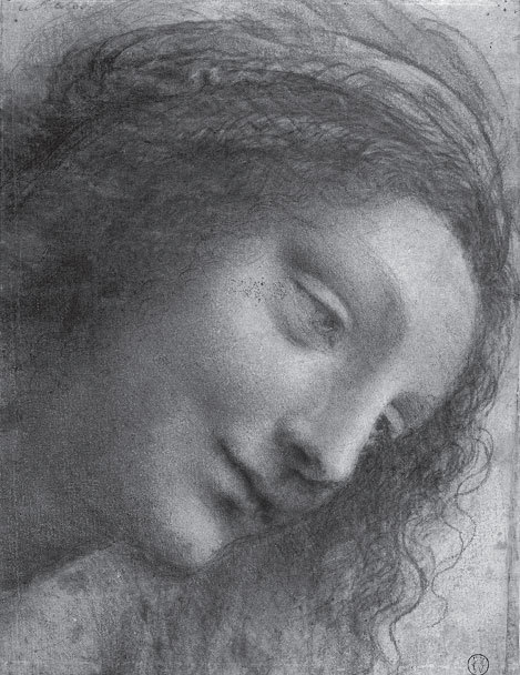 Леонардо да Винчи. Микеланджело. Рафаэль. Рембрандт (сборник) - i_006.jpg