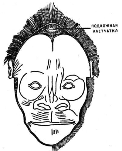 По следам снежного человека - i_045.jpg