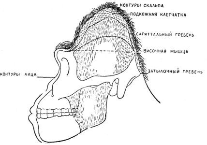 По следам снежного человека - i_048.jpg