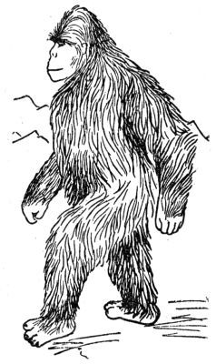 По следам снежного человека - i_049.jpg