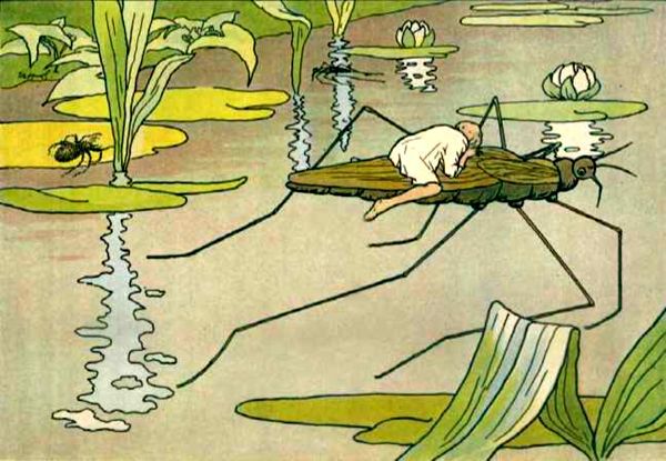 Приключения мальчика меньше пальчика<br />Из жизни насекомых - i_014.jpg