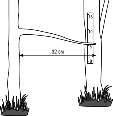 Учебник по выживанию в экстремальных ситуациях - i_001.png