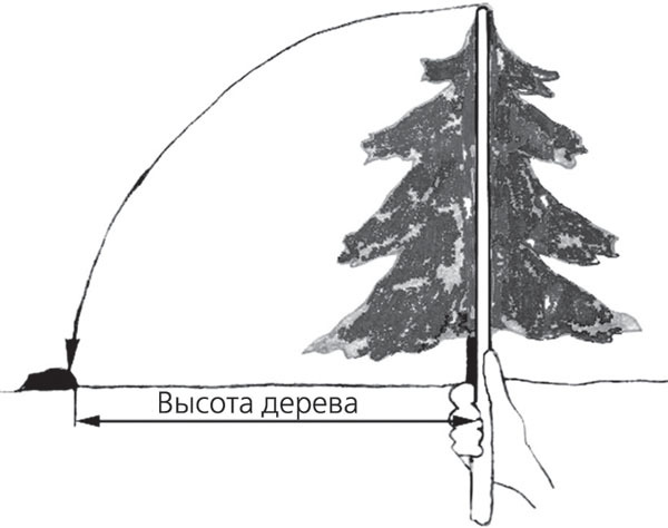 Автономное выживание в экстремальных условиях и автономная медицина - _33.jpg