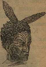 Дикари, их быт и нравы - i_034.jpg