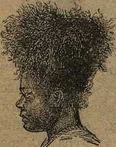 Дикари, их быт и нравы - i_035.jpg