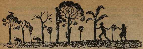 Дикари, их быт и нравы - i_046.jpg