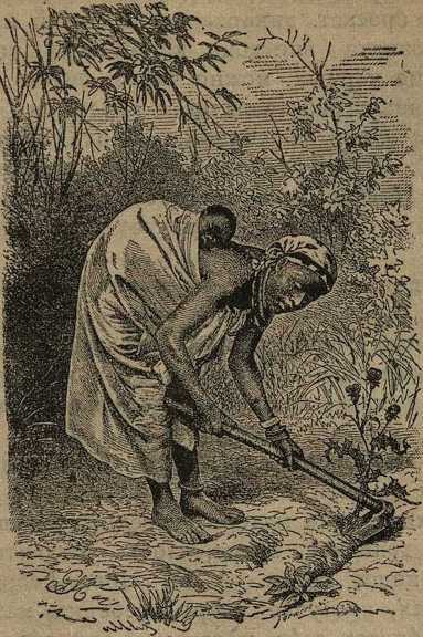 Дикари, их быт и нравы - i_052.jpg