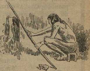 Дикари, их быт и нравы - i_062.jpg