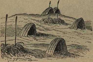 Дикари, их быт и нравы - i_076.jpg