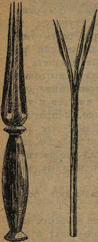 Дикари, их быт и нравы - i_138.jpg