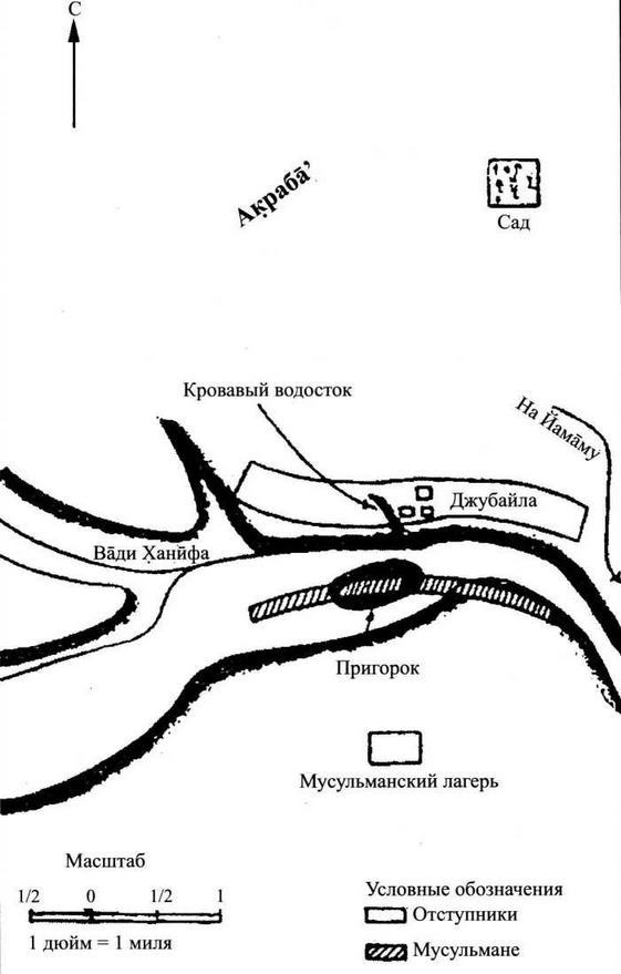 Рыцарь пустыни. Халид ибн ал-Валйд. Крушение империй - img_10.jpg