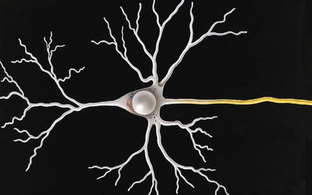 Супермышление - i_008.jpg