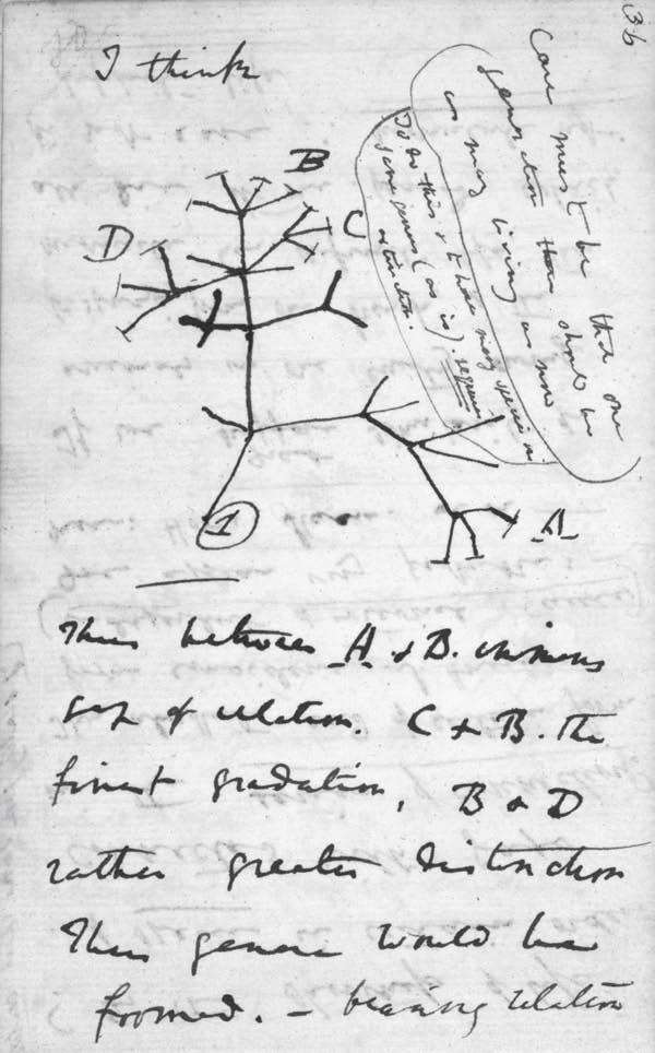 Супермышление - i_012.jpg