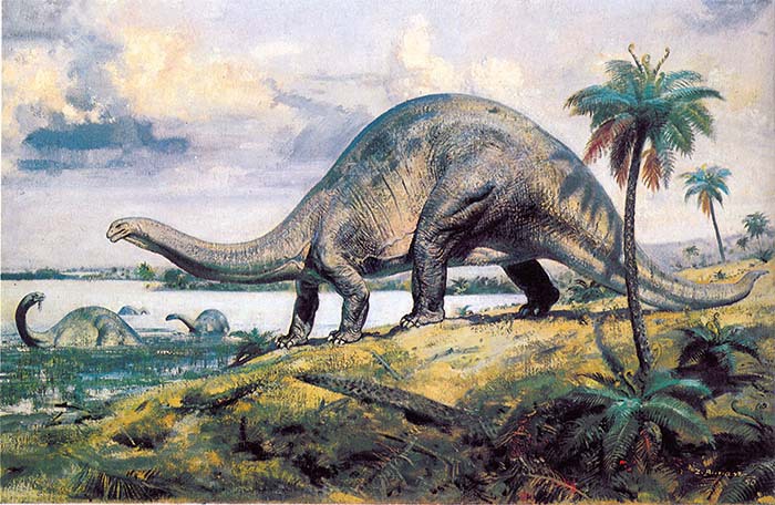 Первобытное время - _15.jpg