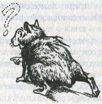 Фредди и большой шурум-бурум - i_017.jpg