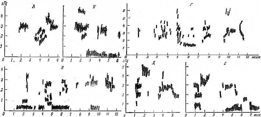 Говорящие птицы - _31.jpg