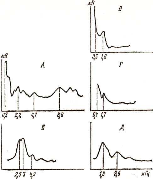 Говорящие птицы - _30.jpg