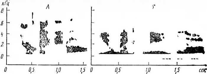 Говорящие птицы - _33.jpg