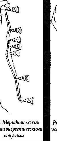 Энергетическая анатомия. Руководство к пониманию и использованию Энергетической Системы Человека - _11.jpg