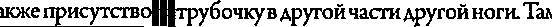 Энергетическая анатомия. Руководство к пониманию и использованию Энергетической Системы Человека - _5.jpg