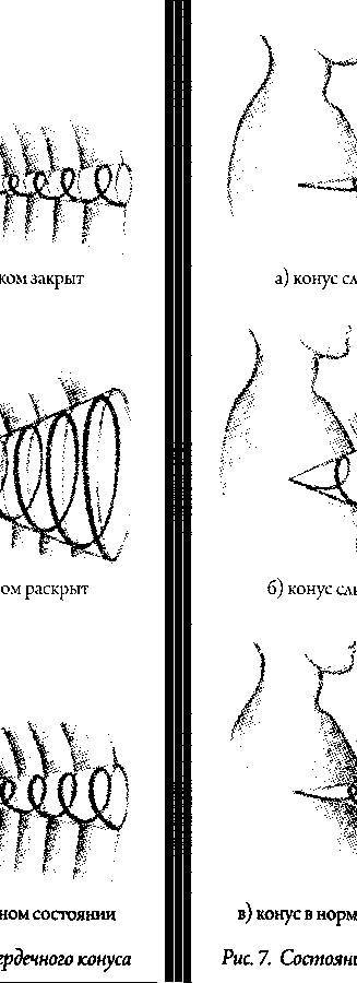 Энергетическая анатомия. Руководство к пониманию и использованию Энергетической Системы Человека - _10.jpg