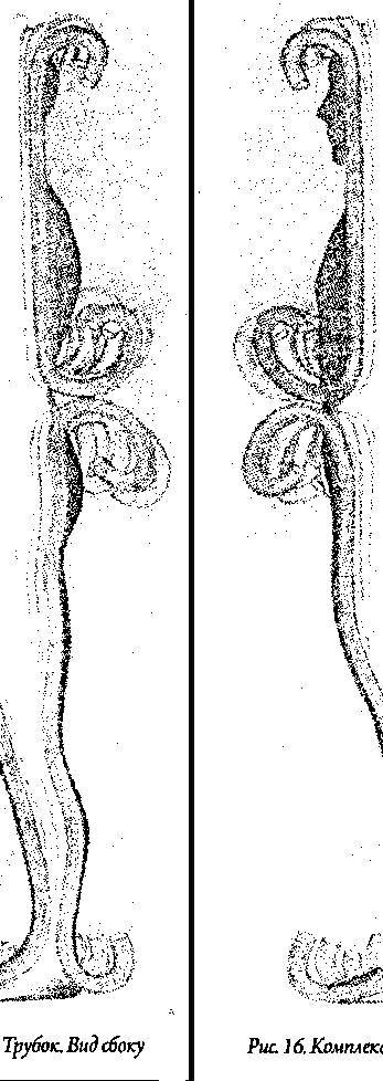 Энергетическая анатомия. Руководство к пониманию и использованию Энергетической Системы Человека - _18.jpg