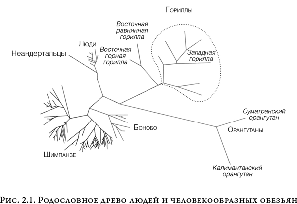 На заре человечества: Неизвестная история наших предков - i_001.png