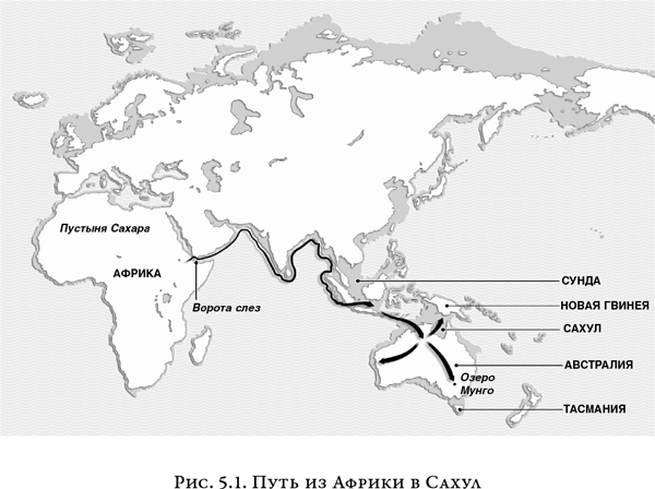 На заре человечества: Неизвестная история наших предков - i_007.png