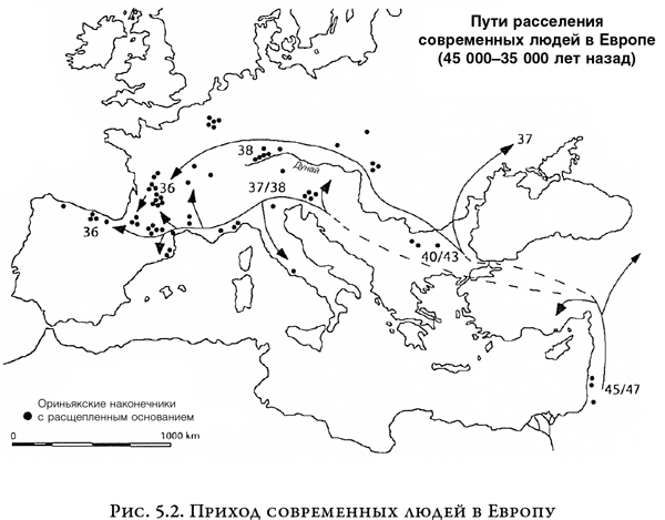 На заре человечества: Неизвестная история наших предков - i_008.png