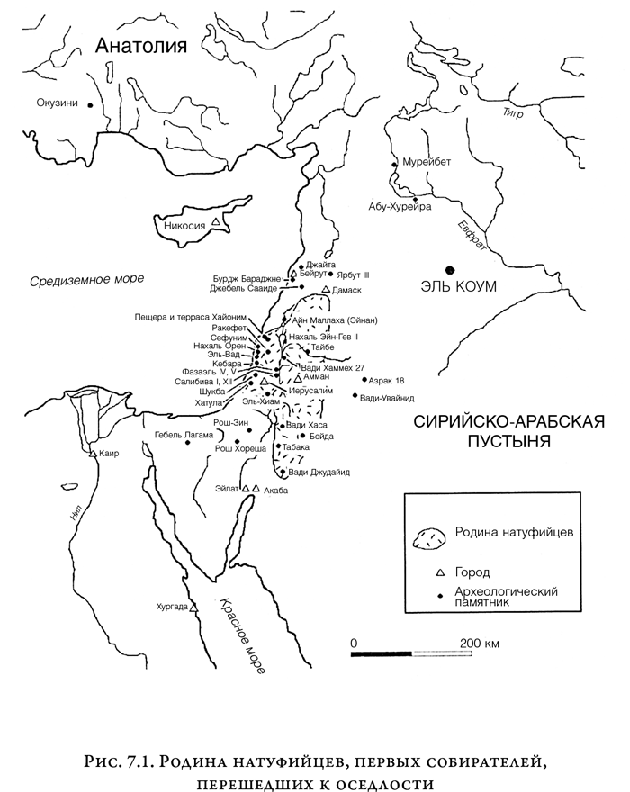 На заре человечества: Неизвестная история наших предков - i_011.png