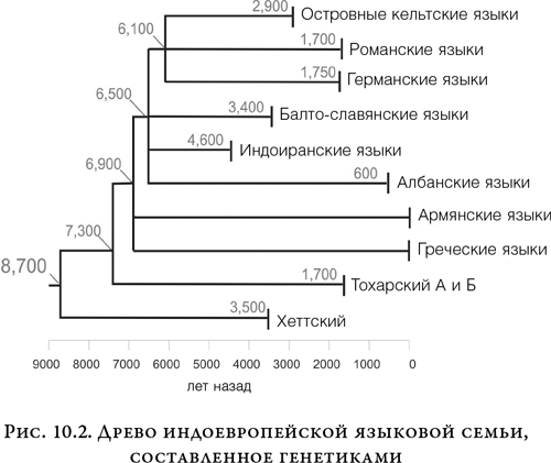 На заре человечества: Неизвестная история наших предков - i_013.png