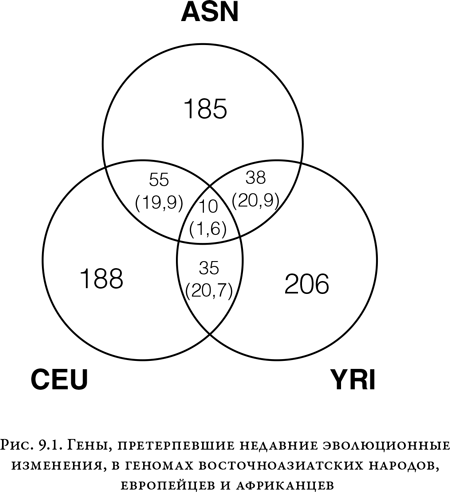 На заре человечества: Неизвестная история наших предков - i_020.png