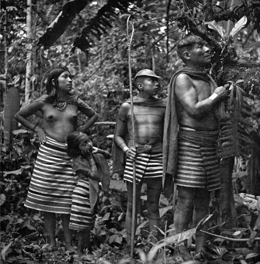 В стране драконов и сказочных птиц - _83.jpg