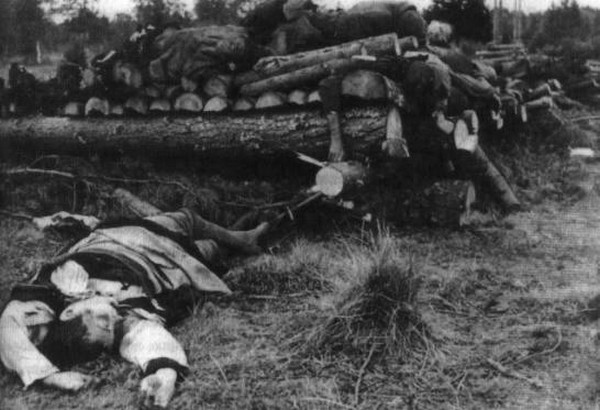 Ромен Гари, хамелеон - i_011.jpg