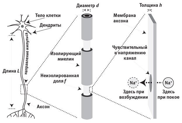 Наша математическая вселенная. В поисках фундаментальной природы реальности - i_069.jpg