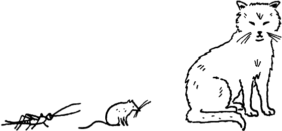 Тайны мира насекомых - i_072.png