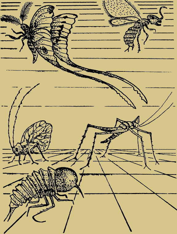 Тайны мира насекомых - i_087.jpg