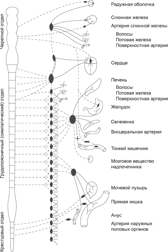 Закон «джунглей». В поисках формулы жизни - _5.png