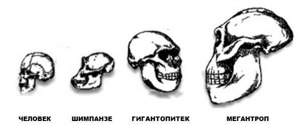 Война миров. Том 1 - i_072.jpg