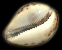 Война миров. Том 1 - i_093.jpg