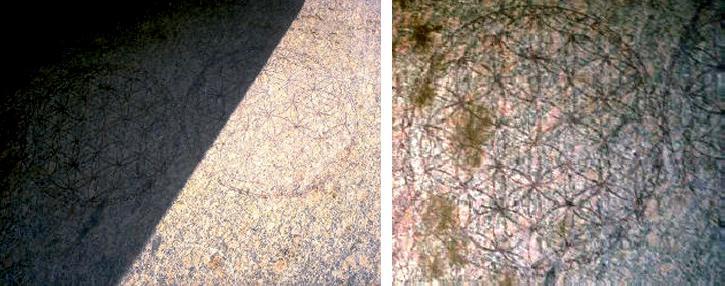 Война миров. Том 1 - i_181.jpg