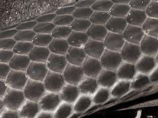 Война миров. Том 1 - i_185.jpg