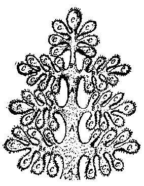 Война миров. Том 1 - i_252.jpg