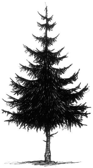 Мальчик по имени Рождество - tree_c.png