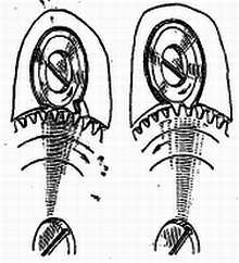 Ремонт часов - _105.jpg