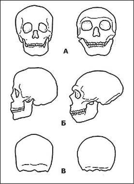 Неандертальцы: какими они были, и почему их не стало - doc2fb_image_02000008.jpg