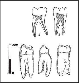 Неандертальцы: какими они были, и почему их не стало - doc2fb_image_0200000B.jpg