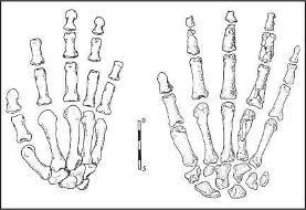 Неандертальцы: какими они были, и почему их не стало - doc2fb_image_02000010.jpg