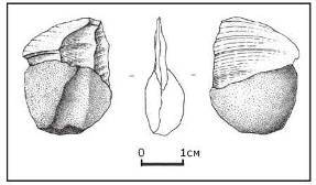 Неандертальцы: какими они были, и почему их не стало - doc2fb_image_0200001C.jpg