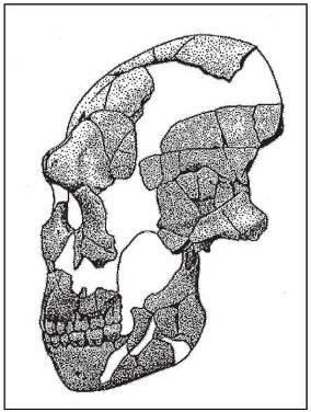 Неандертальцы: какими они были, и почему их не стало - doc2fb_image_02000025.jpg